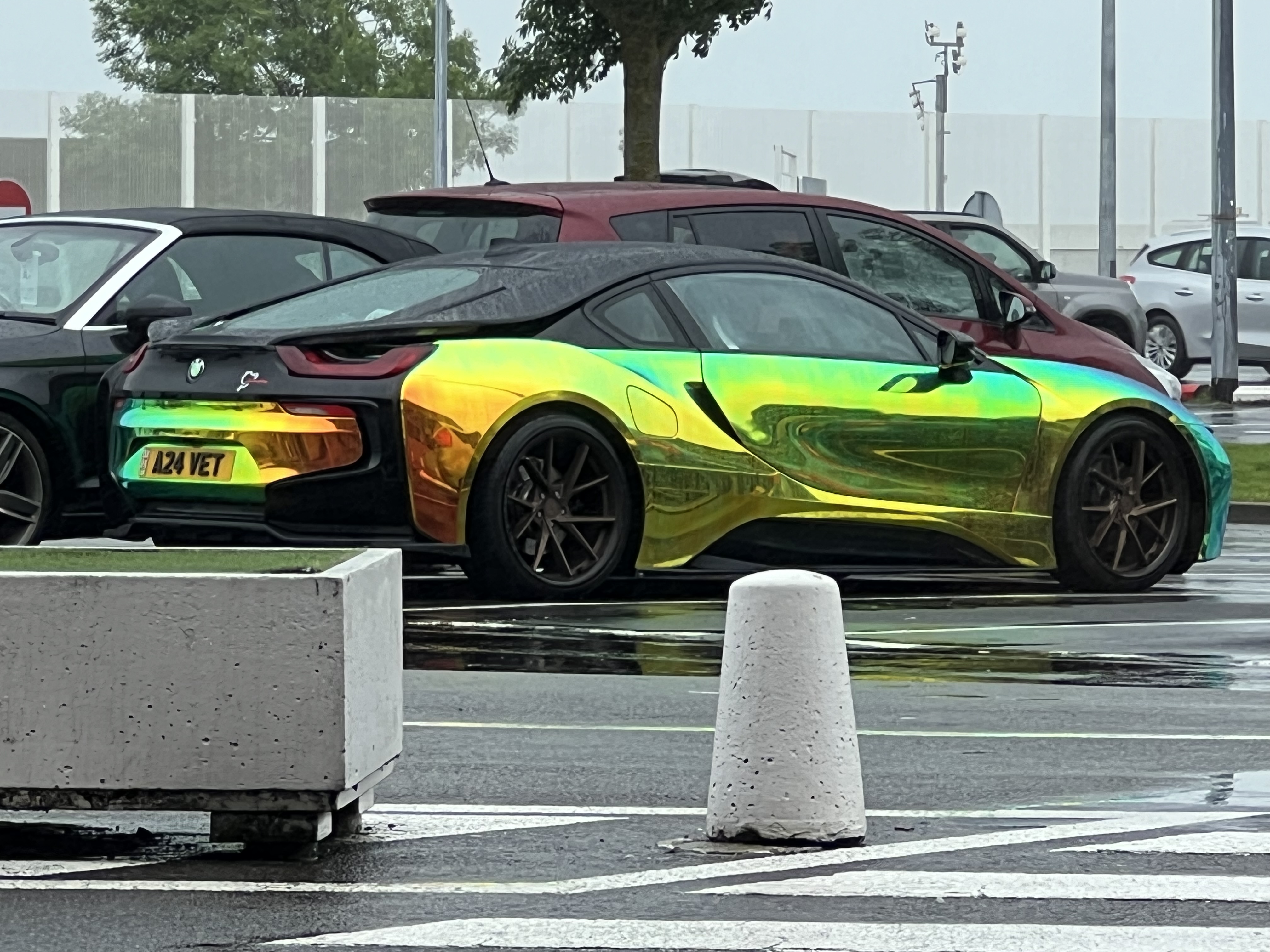 IMG_9423.jpeg