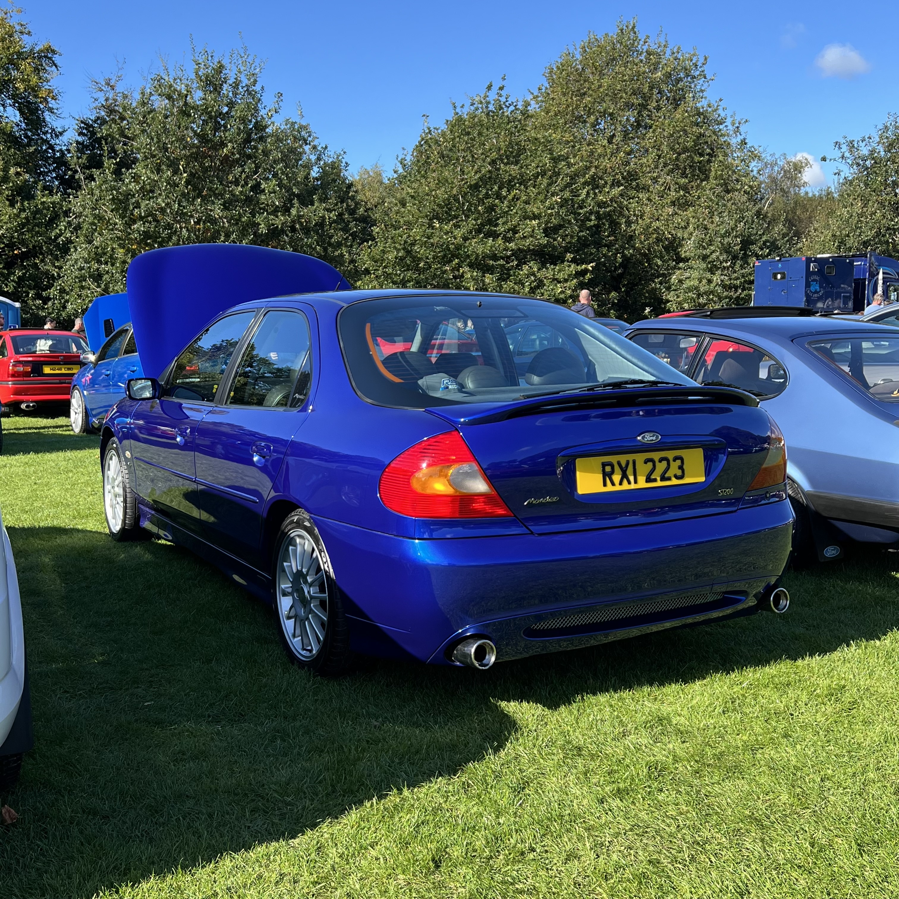 IMG_9504.jpeg