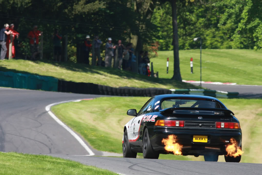 IMG_9504.jpg IMG_9504.jpg