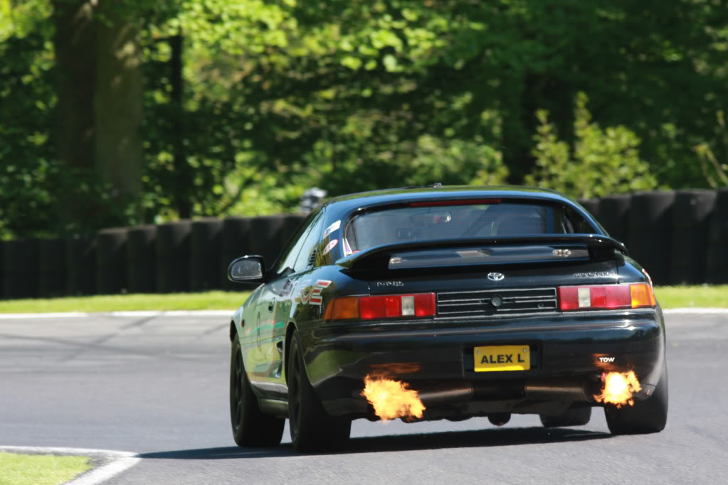 IMG_9699.jpg IMG_9699.jpg