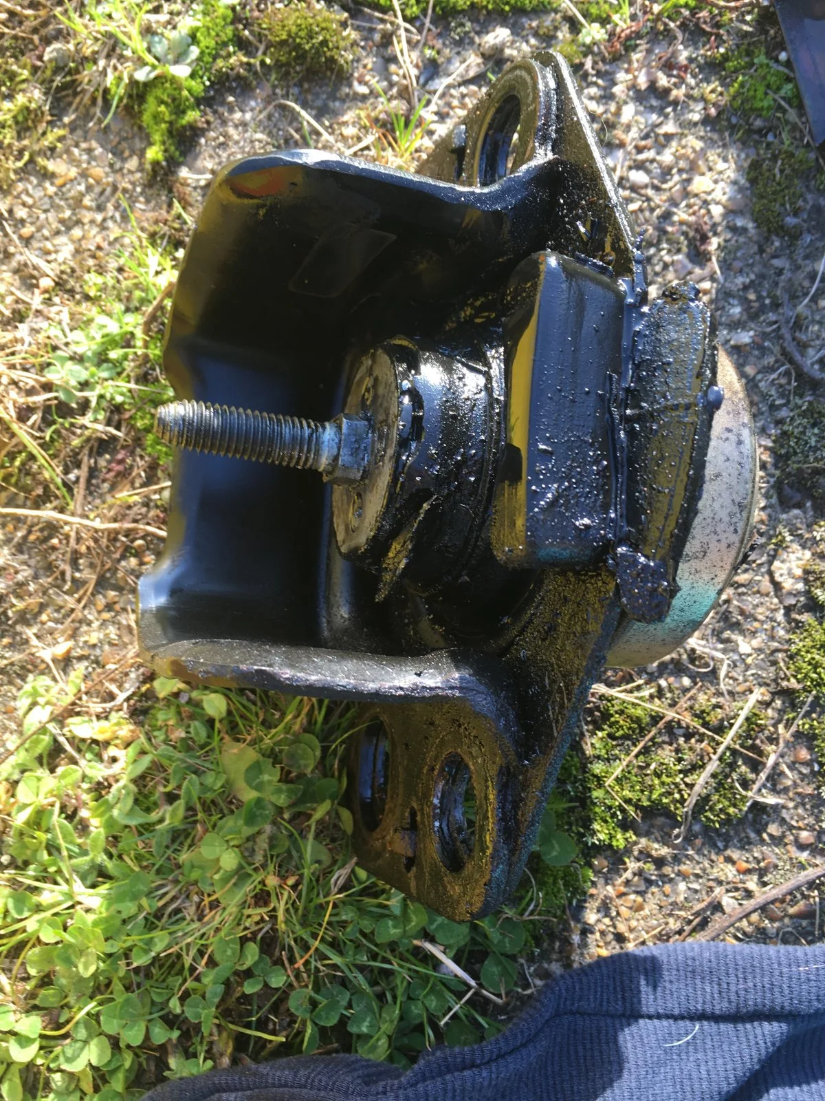 IMG_9911.webp