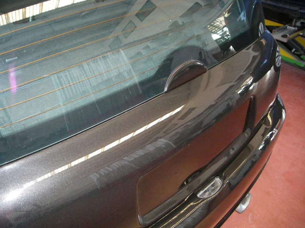 IMGP0250.webp
