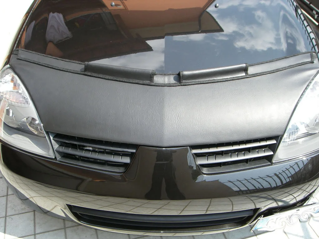 IMGP0265.webp