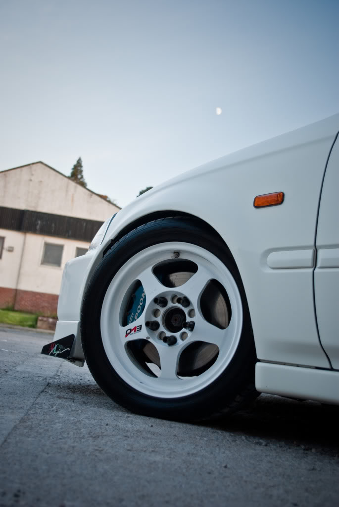 IMGP0289.jpg IMGP0289.jpg