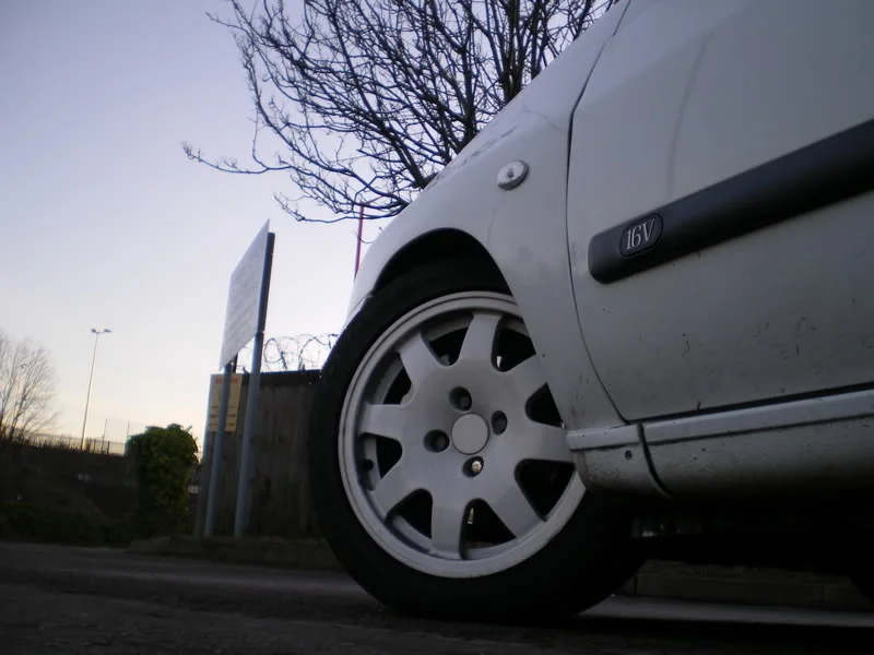 IMGP0318.webp