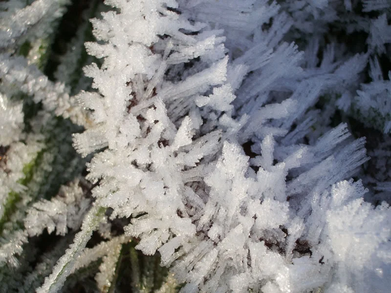 IMGP0457.webp