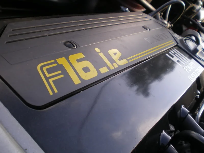IMGP0912.webp