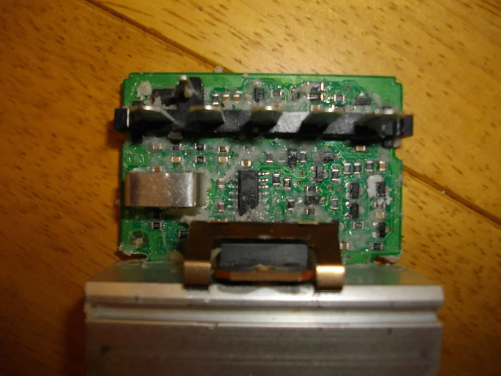 IMGP1000.webp