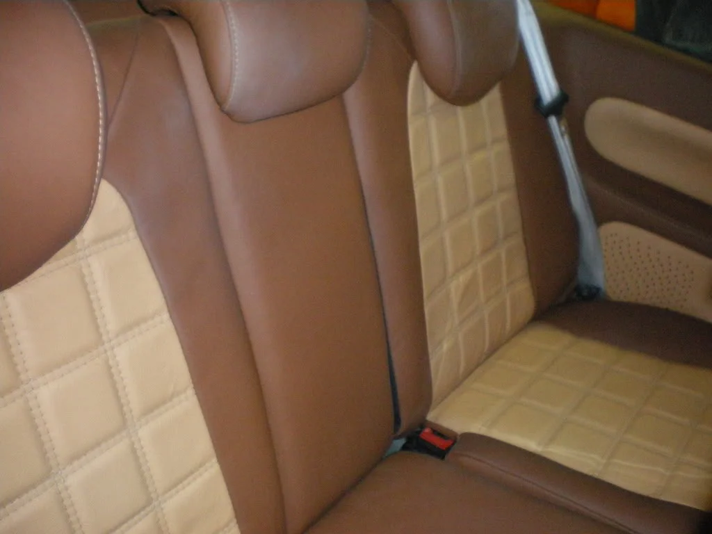 IMGP1019.webp