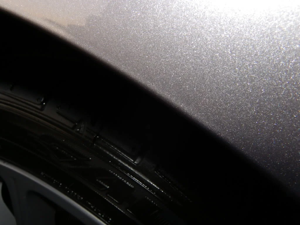 IMGP1068.webp