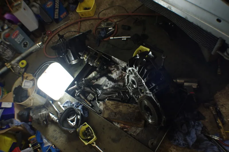 IMGP1116.webp