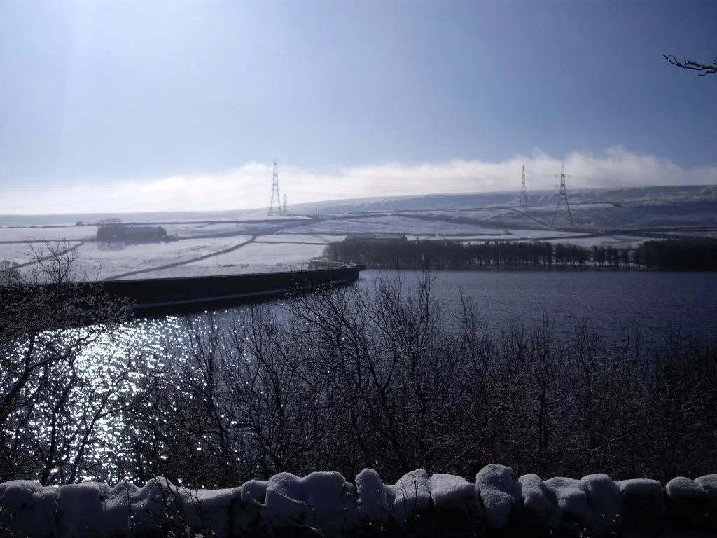 IMGP1120.webp