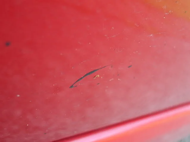 IMGP1130.webp