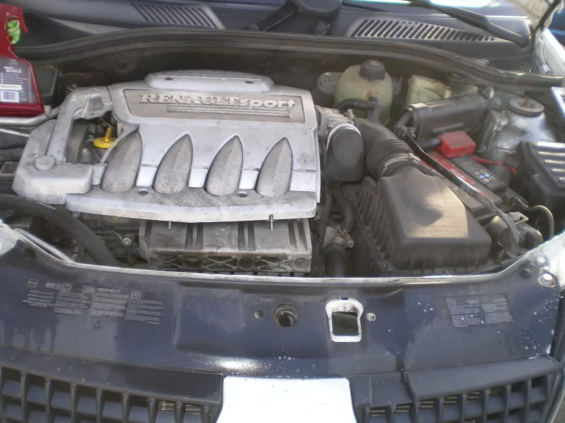 IMGP1531.webp