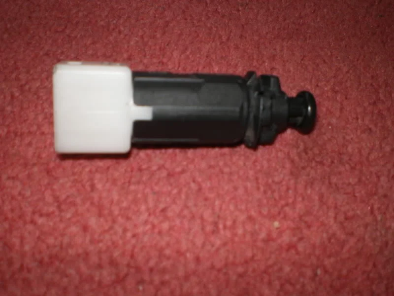 IMGP1541.webp