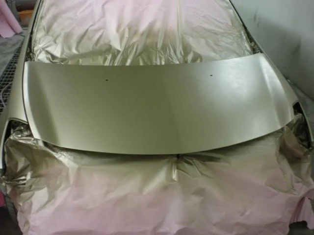 IMGP1678.webp