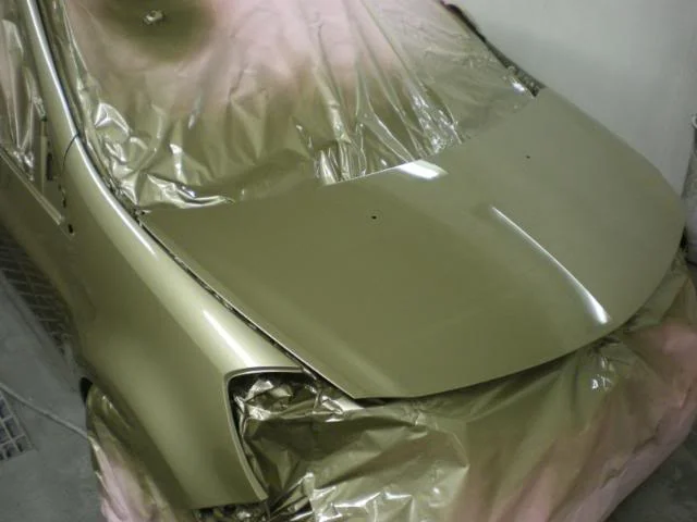 IMGP1682.webp
