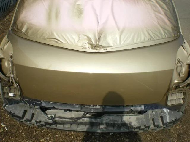IMGP1692.webp