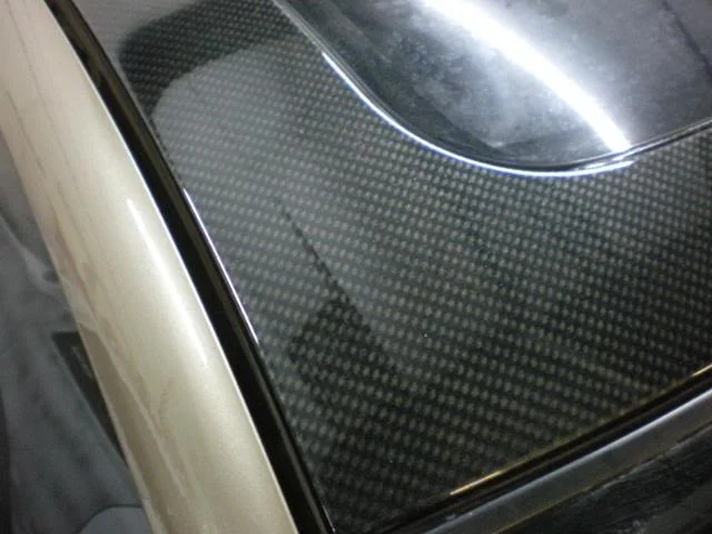 IMGP1696.webp