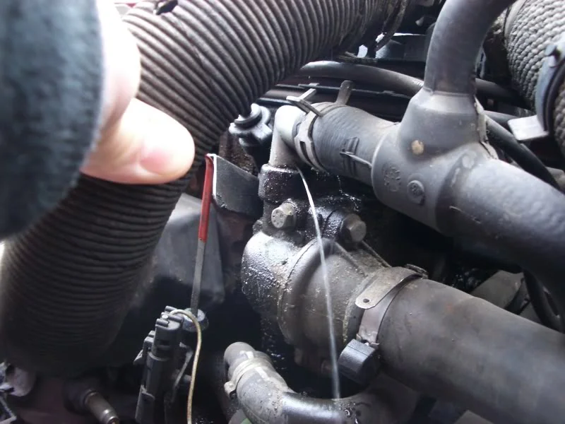 IMGP2023.webp