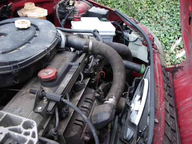 IMGP2024.webp