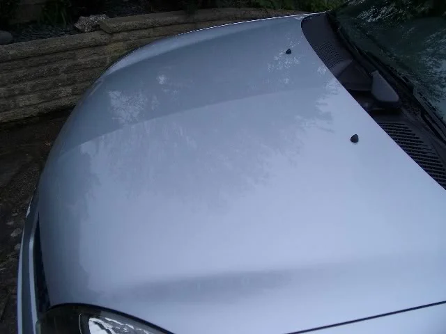 IMGP2563.webp