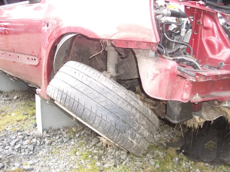 IMGP2591.jpg IMGP2591.jpg