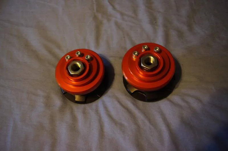 IMGP2639.webp