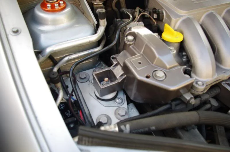 IMGP2930.webp