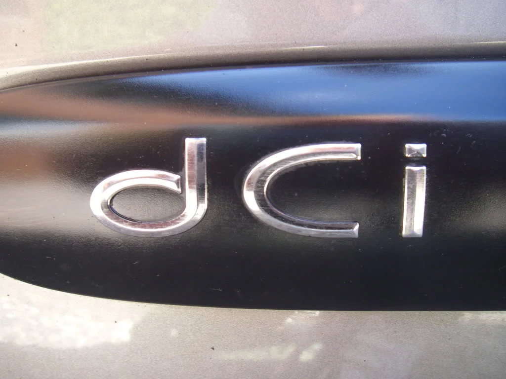 IMGP3277.webp