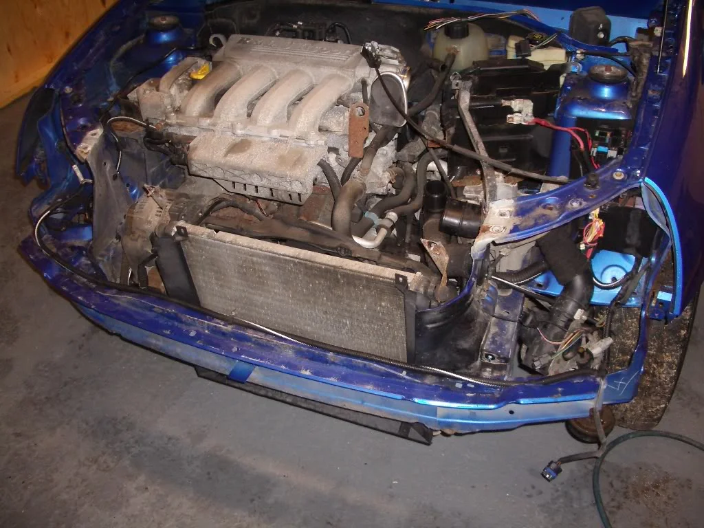 IMGP3520.webp
