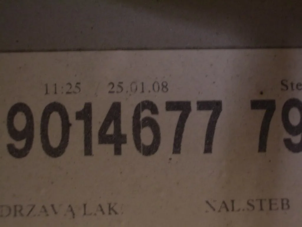 IMGP3662.webp