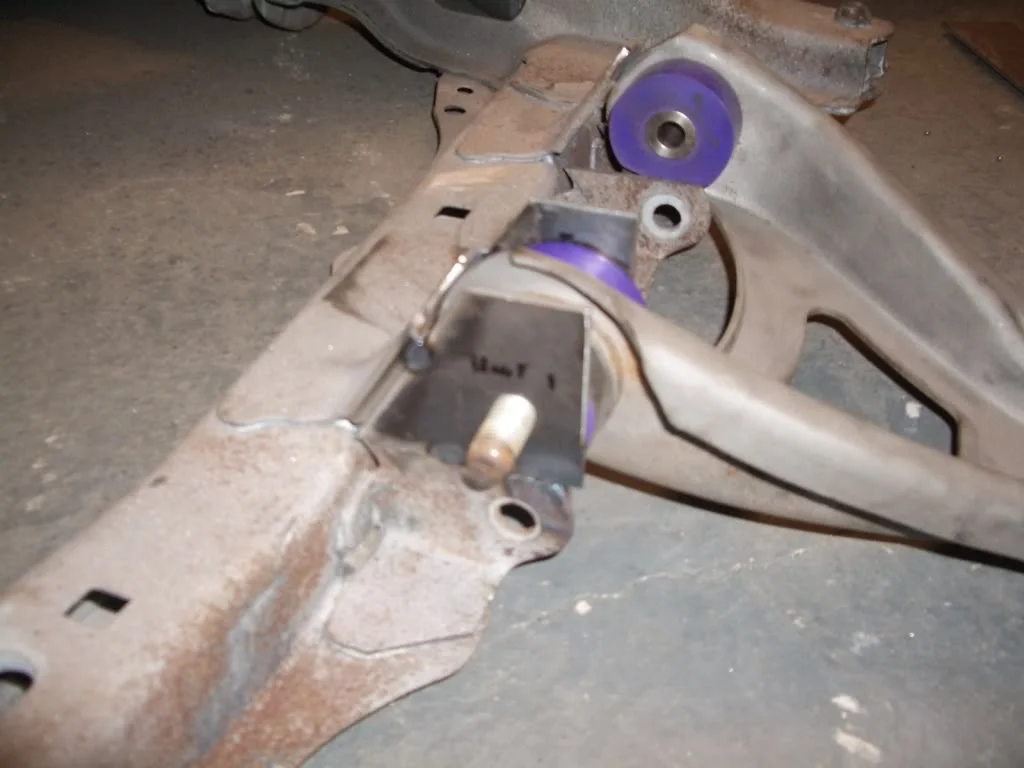 IMGP3899.webp