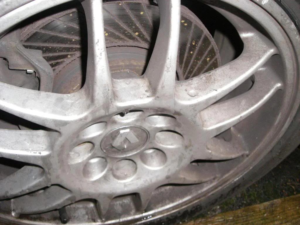 IMGP3966.webp