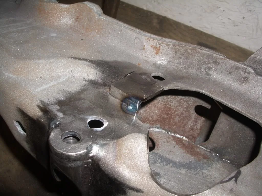 IMGP4238.webp