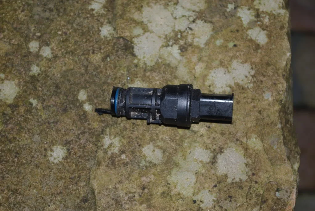 IMGP4392.webp