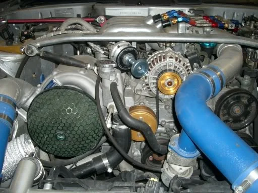 IMGP4509.webp