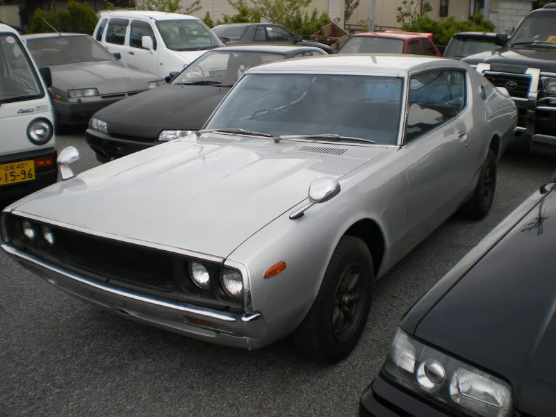 IMGP5034.webp