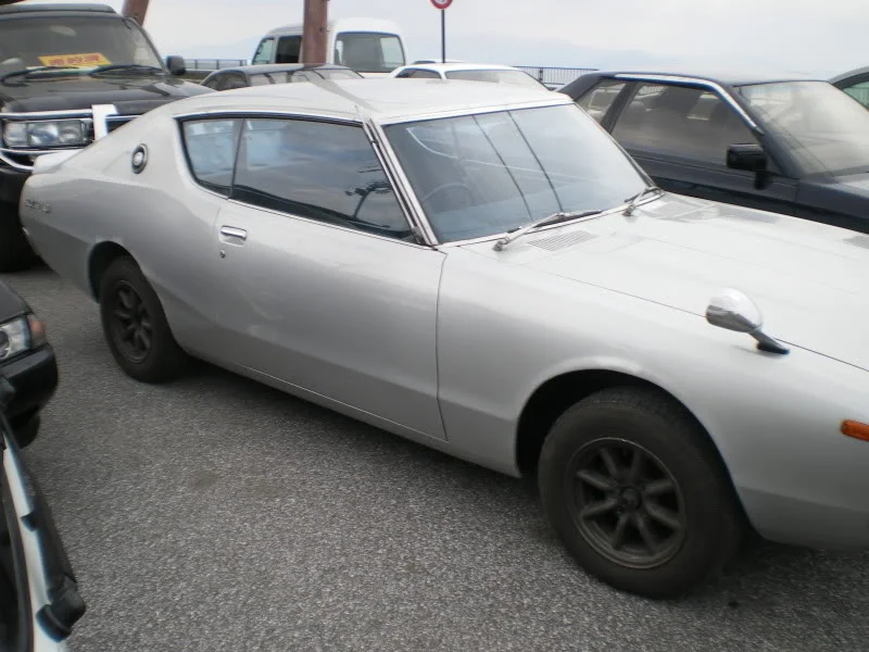 IMGP5035.webp