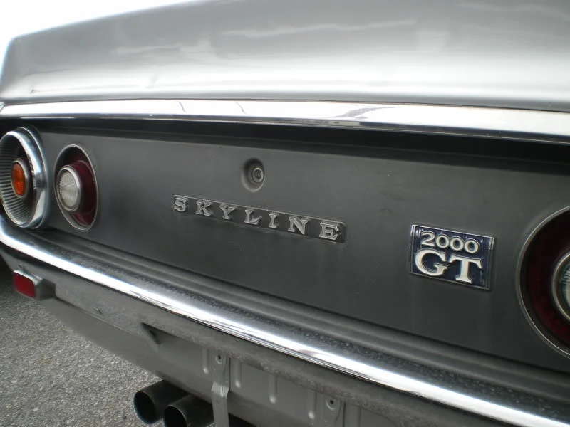 IMGP5037.webp
