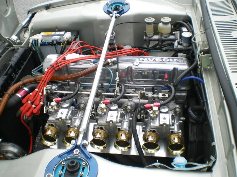 IMGP5050.webp