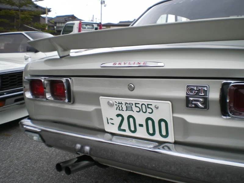 IMGP5053.webp