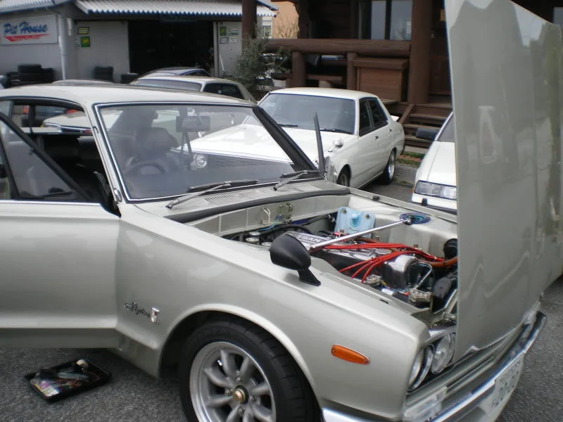 IMGP5054.webp