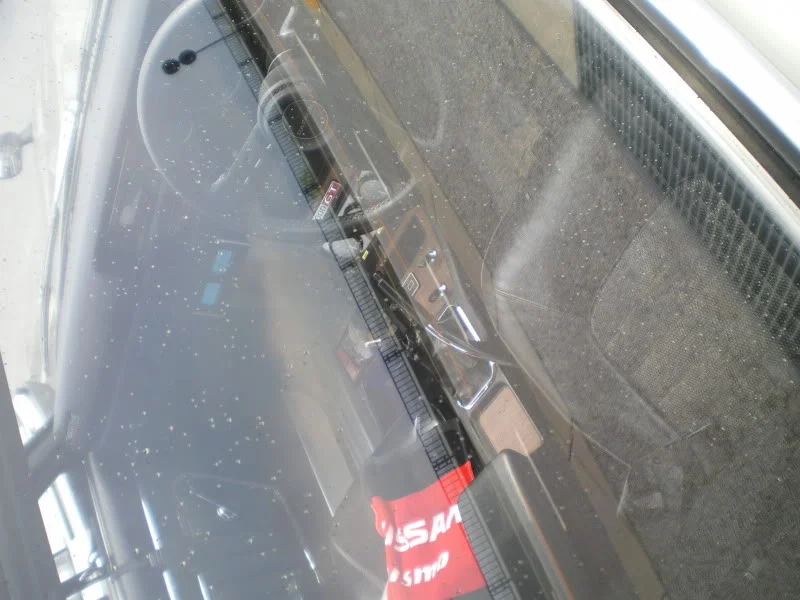 IMGP5067.webp