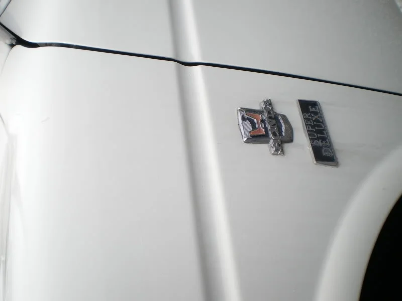 IMGP5070.webp