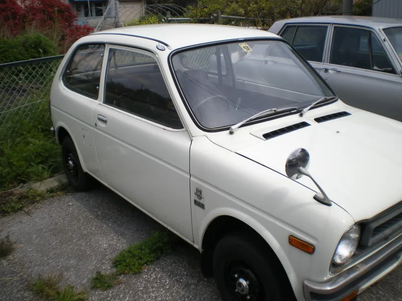 IMGP5072.webp