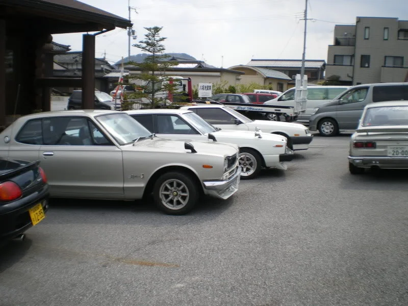 IMGP5073.webp