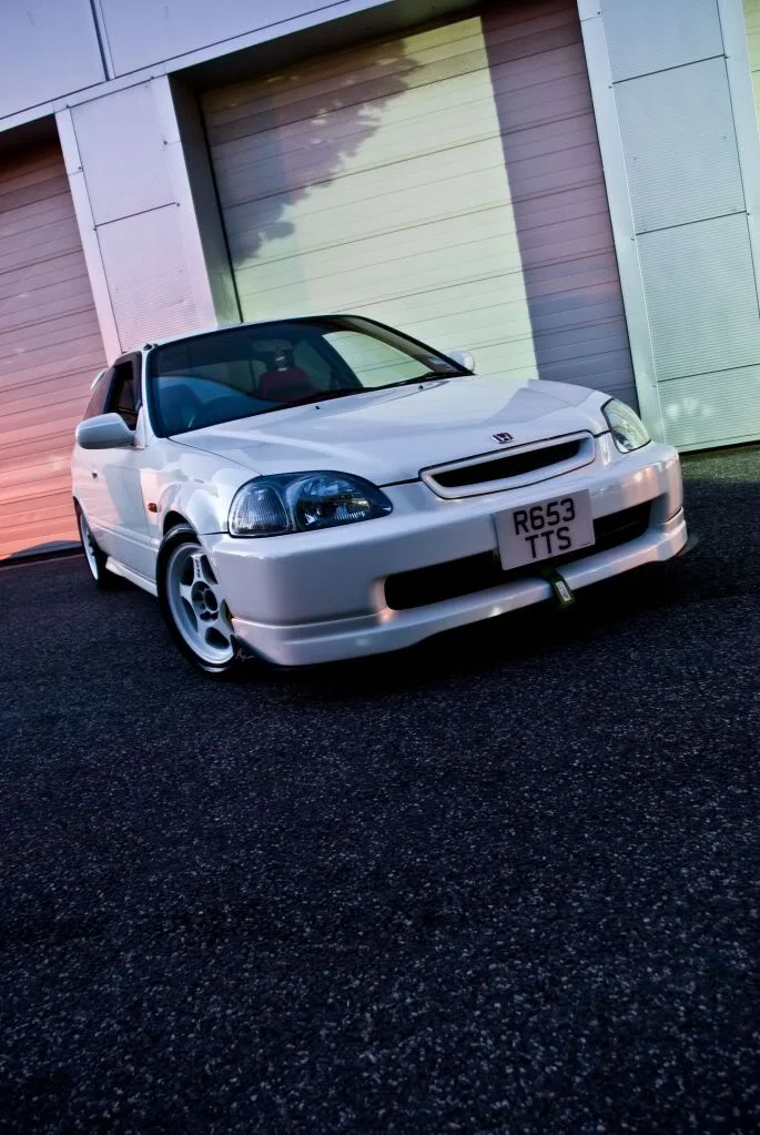IMGP5080.webp