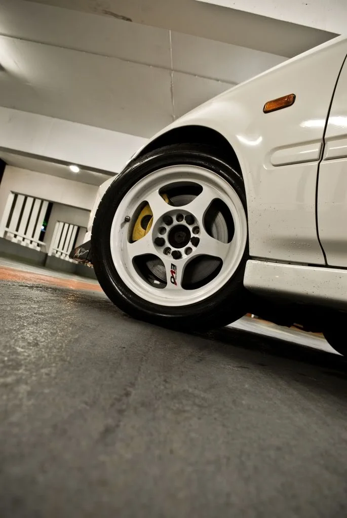 IMGP5160.webp