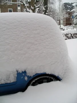 IMGP5355.webp